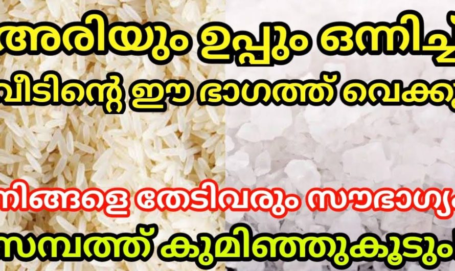 വീടിന്റെ ഈ ഭാഗത്ത് വെക്കുക അരിയും ഉപ്പും ഒന്നിച്ച്, കുമിഞ്ഞുകൂടും സമ്പത്ത്