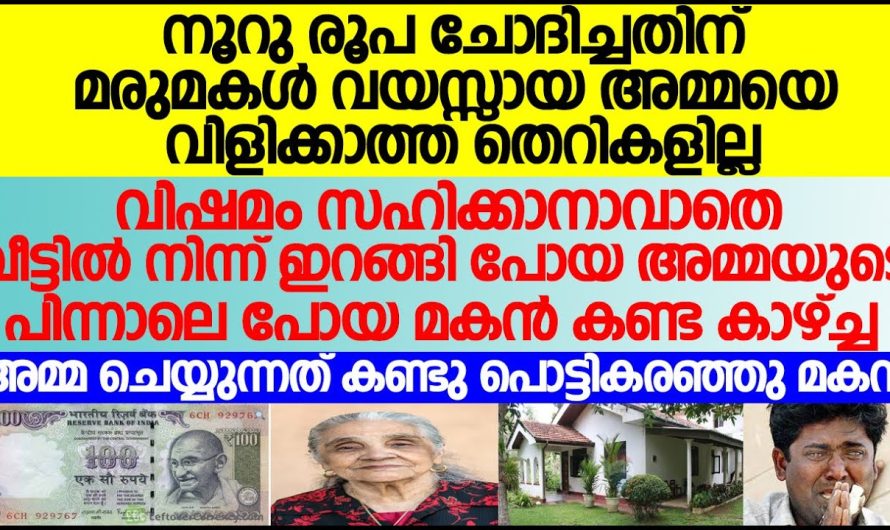 മരുമകൾ അമ്മയെ നൂറുരൂപ ചോദിച്ചതിന് വിളിക്കാത്ത തെറികളില്ല, ഇറങ്ങിപോയ അമ്മ പിന്നാലെ പോയമകൻ കണ്ടകാഴച