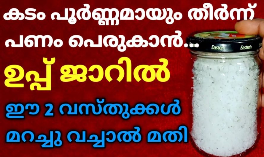 കടം പൂർണ്ണമായും തീരും .. ഈ 2 വസ്തുക്കൾ മറച്ചു ഉപ്പ് ജാറിൽ വച്ചാൽ മതി !!