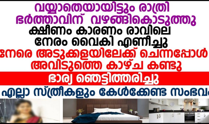 ഞാൻ വെറുമൊരു വേലക്കാരിയാണ് എന്ന് മനസ്സിലാക്കിയ അവൾ ചെയ്തത് കണ്ടോ ഇങ്ങനെ വേണം പെണ്ണുങ്ങളായാൽ