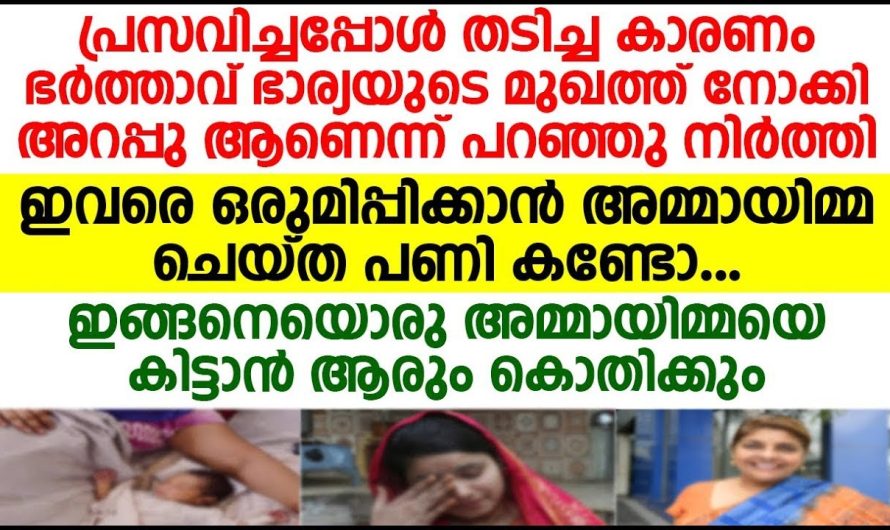 മരുമകളും മകനും തമ്മിലുള്ള പിണക്കം മാറ്റാനായി ബുദ്ധി പറഞ്ഞുകൊടുത്ത് അമ്മായിയമ്മ ശേഷം നടന്നത് കണ്ടോ