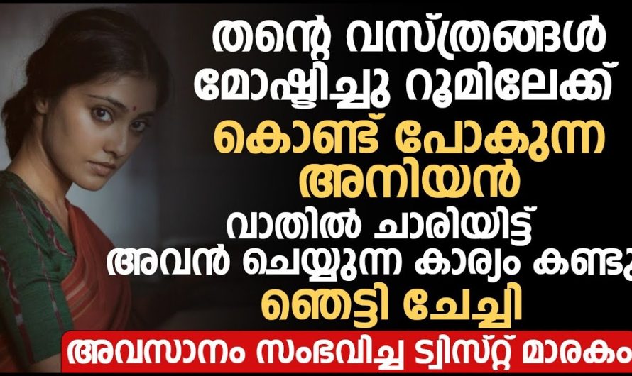 തന്റെ വസ്ത്രങ്ങൾ മോഷ്ടിച്ചു കൊണ്ടുപോകുന്ന അനിയനെ കണ്ട് ചേച്ചി ചെയ്തത് കണ്ടോ