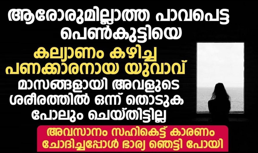 എന്നെക്കാളും നല്ലത് നിങ്ങൾക്ക് ഒരു പാവയെ വാങ്ങുന്നത് ആയിരുന്നു, നിങ്ങൾ എന്തിനാണ് എന്നെ കെട്ടിയത് ഇങ്ങനെ പാവയെപ്പോലെ നോക്കാനാണോ