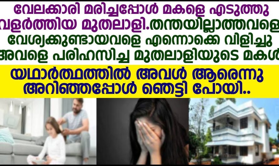 വേലക്കാരിയുടെ മകളെ എടുത്തു വളർത്തുന്ന മുതലാളി, അവസാനം അവൾ ആരാണെന്ന് മനസ്സിലാക്കിയപ്പോൾ മുതലാളിയുടെ മകൾ ഞെട്ടിപ്പോയി