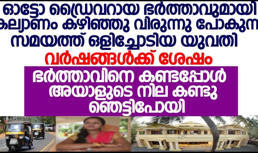 വർഷങ്ങൾക്കുശേഷം ഒളിച്ചോടിപ്പോയ ഭാര്യയെ ഓട്ടോ ഡ്രൈവർ കണ്ടപ്പോൾ അയാൾ ചെയ്തത് കണ്ടോ