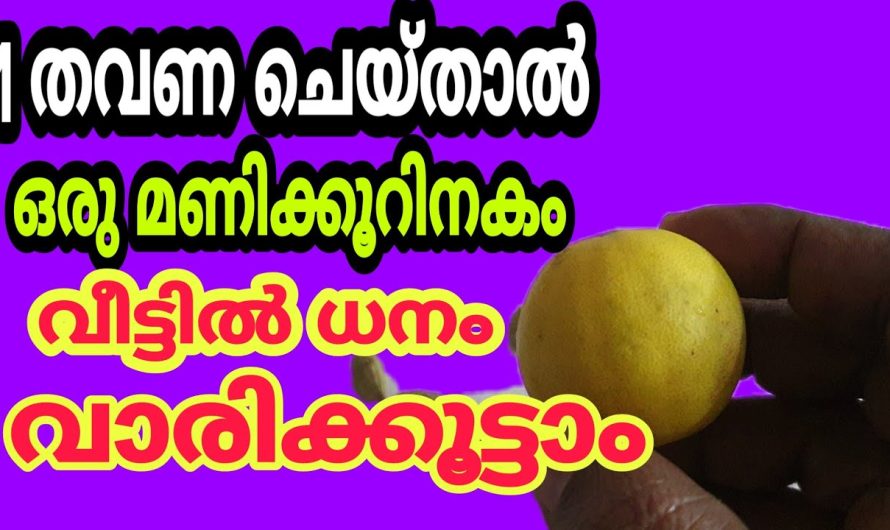 വീട്ടിൽ ദുർശക്തി പുറത്താകും ഇത് ചെയ്ത് ഒരു മണിക്കൂറില്‍ ധനം കുതിച്ചു കയറും