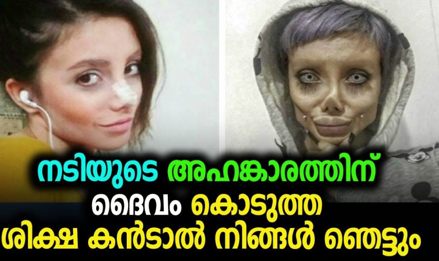 ദൈവം നടിയുടെ അഹങ്കാരത്തിന് കൊടുത്ത ശിക്ഷ കണ്ടോ, ഇത് കേട്ടാൽ നിങ്ങൾ ഞെട്ടും