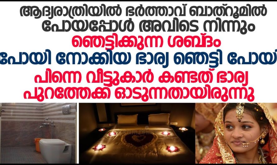 ആദ്യരാത്രി  ബാത്റൂമിൽ നിന്നും വലിയൊരു ശബ്ദം പേടിച്ച് നവവധു പോയി നോക്കിയപ്പോൾ കണ്ടത്!