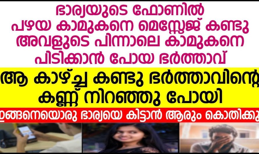 ഭാര്യ തന്നെ ചതിക്കുകയാണ് എന്ന് മനസ്സിലാക്കിയ ഭർത്താവ്, അവളുടെ കാമുകനെ കണ്ട് ഞെട്ടിപ്പോയി