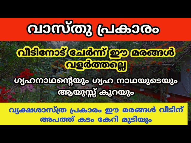 ഒരു മ.ര.ണം ഉറപ്പ്, വൃക്ഷ ശാസ്ത്ര പ്രകാരം ഈ മരം വളർന്നാൽ, മരം നിങ്ങളുടെ പറമ്പിൽ വളരുന്നുണ്ടോ?