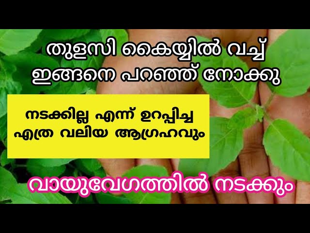 തുളസി കൈയ്യിൽ വച്ച് ഇങ്ങനെ പറയു വായു വേഗത്തിൽ നടക്കും മനസ്സിൽ ഉള്ള ആഗ്രഹം