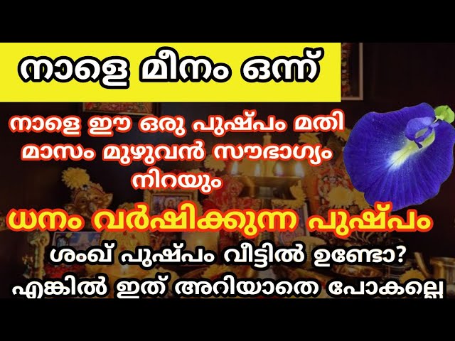 മാസം മുഴുവൻ ധനം വന്ന് നിറയും, നാളെ ശംഖ് പുഷ്പം ഇങ്ങനെ ചെയ്യു