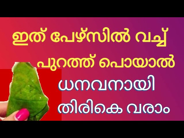 ധനവനായി തിരിച്ചെത്തും, ഇത് പേഴ്സിൽ വച്ച് പുറത്ത് പൊയാൽ ഒരു തവണ ശ്രമിച്ചു നോക്കൂ