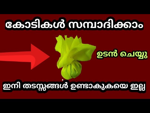 തടസ്സങ്ങൾ കൂടാതെ വിചാരിക്കുന്ന കാര്യങ്ങൾ വളരെ വേഗത്തിൽ നടക്കാൻ