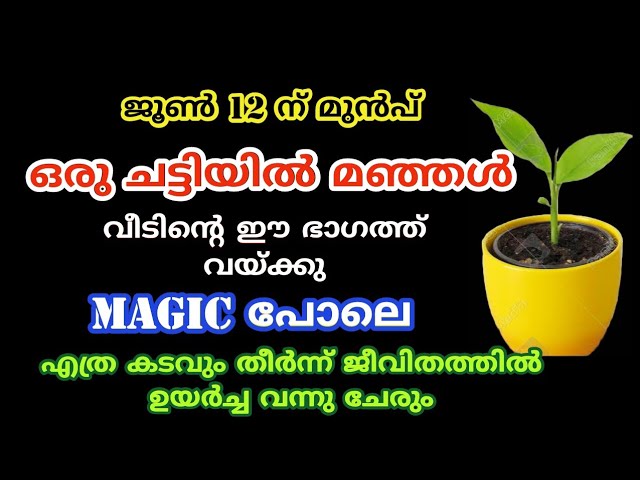 മാജിക്ക് പോലെ കടം മാറും… നിത്യവും രാവിലെ ഇത്ര മാത്രം ചെയ്താൽ മതി