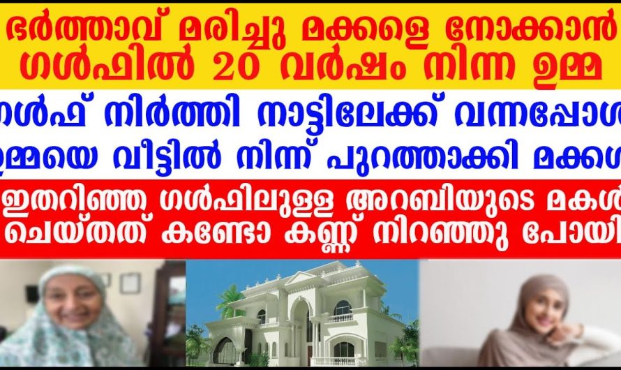 മകളെ വളർത്താൻ ആയി ഗൾഫിൽ പോയി ജോലി ചെയ്ത അമ്മയെ വീട്ടിൽ നിന്നും പുറത്താക്കി മക്കൾ ഇതറിഞ്ഞ അറബി ചെയ്തത് കണ്ടോ