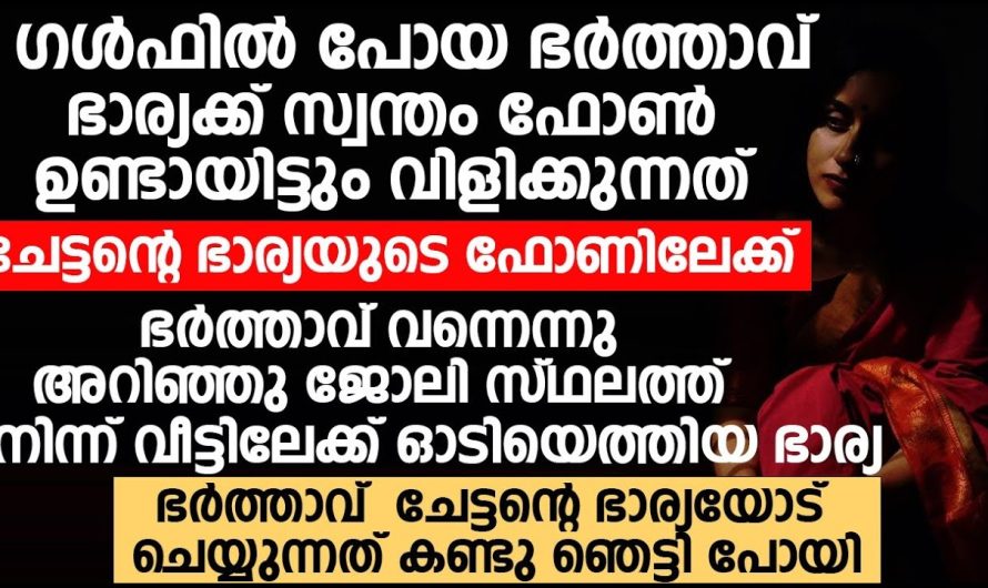 ഭാര്യയോട് പറയാതെ ദേശത്തു നിന്നും വന്ന ഭർത്താവ് ചേട്ടത്തിയുടെ റൂമിൽ ചെയ്യുന്നത് കണ്ട് അവൾ ഞെട്ടിപ്പോയി