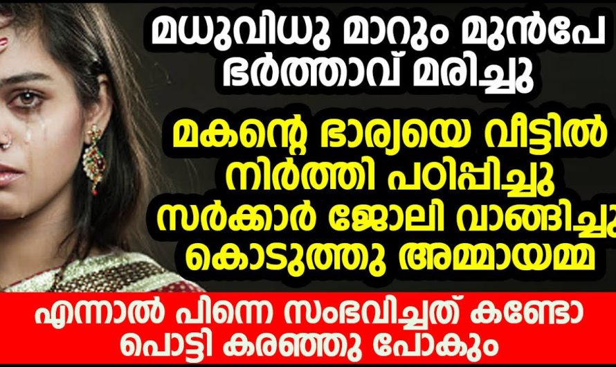 മകന്റെ ഭാര്യയെ പഠിപ്പിച്ചു ജോലി വാങ്ങിക്കൊടുത്ത അമ്മായിയമ്മ എന്നാൽ ഇവൾ ചെയ്ത പണി കണ്ടോ