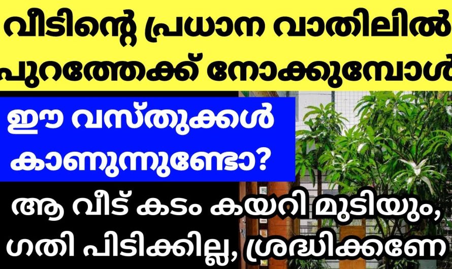 വാസ്തുദോഷത്തിന് കാരണമാകും വീടിനുള്ളിൽ നിന്ന് ഉള്ള ഈ കാഴ്ചകൾ , അറിഞ്ഞിരിക്കാതെ പോകല്ലേ