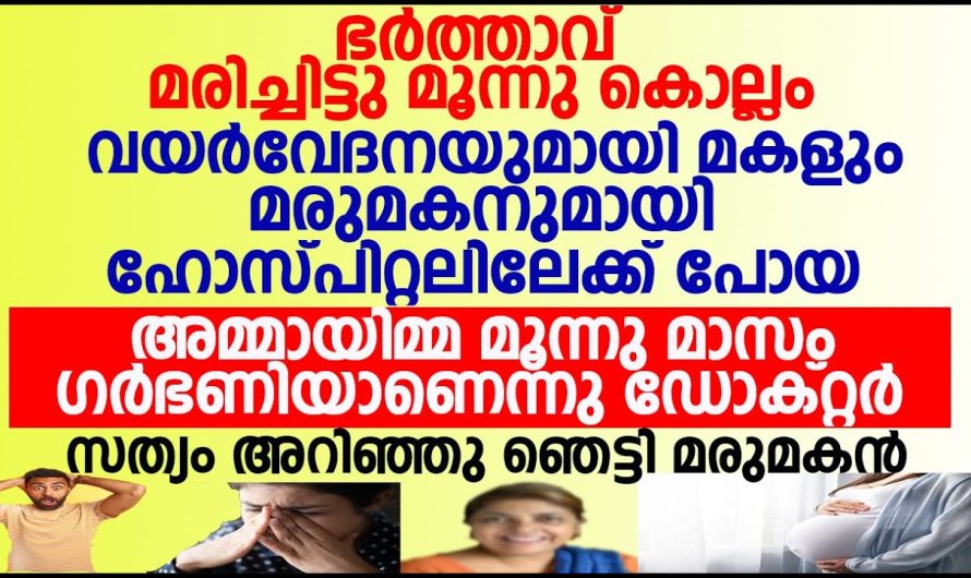 ഭർത്താവ് മരിച്ചിട്ട് മൂന്ന് കൊല്ലമായി അമ്മായിയമ്മ 3മാസം ഗർഭിണിയാണ് എന്ന് പറഞ്ഞ് ഡോക്ടർ ശേഷം നടന്നത് കണ്ടോ