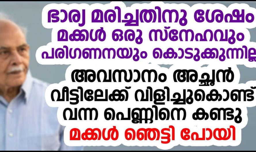 ഭാര്യ മരിച്ച മക്കൾ കല്യാണം കഴിഞ്ഞ് കുട്ടികൾ ഉള്ള ഒരു വൃദ്ധൻ ഒരു പെണ്ണിനെ വിളിച്ചു വീട്ടിലേക്ക് കൊണ്ടുവന്നു, എന്തിനാണ് ഇങ്ങനെ ചെയ്തത് എന്ന് അറിഞ്ഞാൽ നിങ്ങൾ ഞെട്ടിപ്പോകും