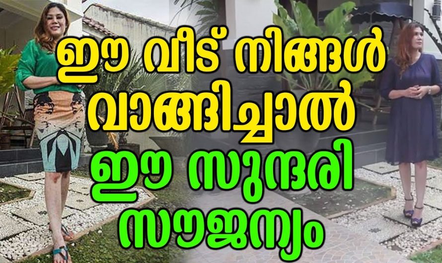 സുന്ദരിയെ ലഭിക്കും ഈ വീട് വാങ്ങിച്ചാൽ, വീടുവാങ്ങാനായി എത്തിയ യുവാക്കളുടെ ബഹളം കണ്ട് അവസാനം യുവതി ചെയ്തത് കണ്ടോ