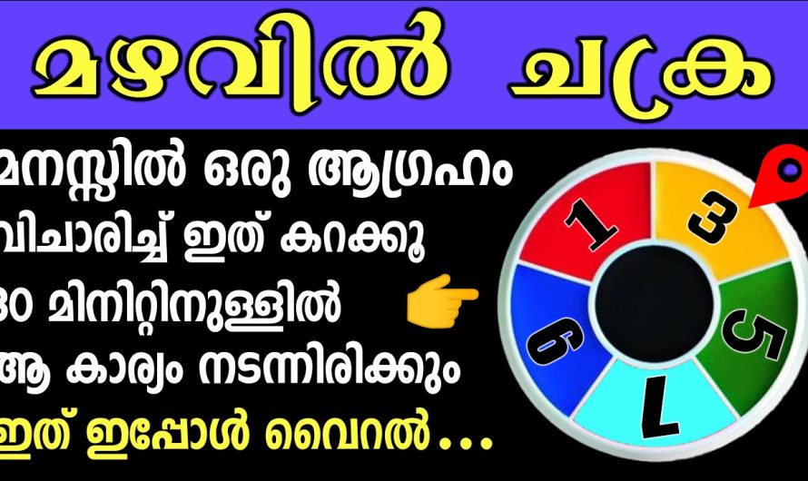 മനസ്സിൽ ഒരു കാര്യം വിചാരിച്ച് ഇത് കറക്കൂ, മഴവിൽ ചക്ര, ആ കാര്യം നടക്കും തീർച്ച