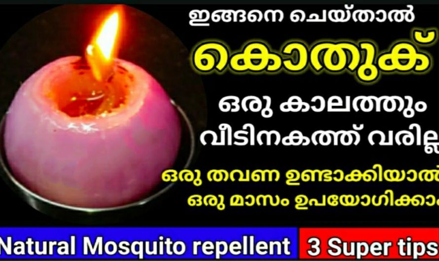 ഒരു കൊതുക് പോലും വീടിനകത്ത്‌ വരില്ല, ഉള്ള കൊതുകുകൾ വരെ പമ്പ കടക്കും