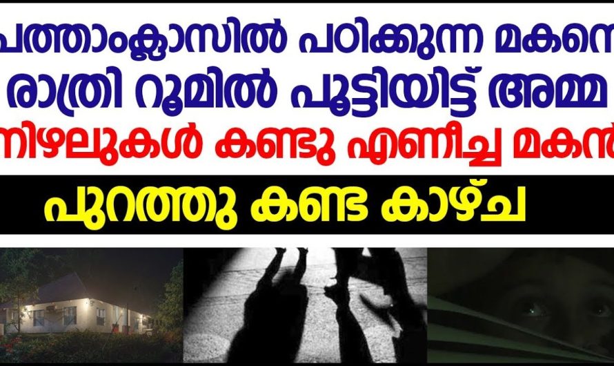 10 ൽ പഠിക്കുന്ന മകനെ പൂട്ടിയിട്ട് പുറത്തുപോകുന്ന അമ്മ, അവസാനം മകൻ ആ കാഴ്ച കണ്ട് ഞെട്ടി തെരിച്ച് നിന്നുപോയി