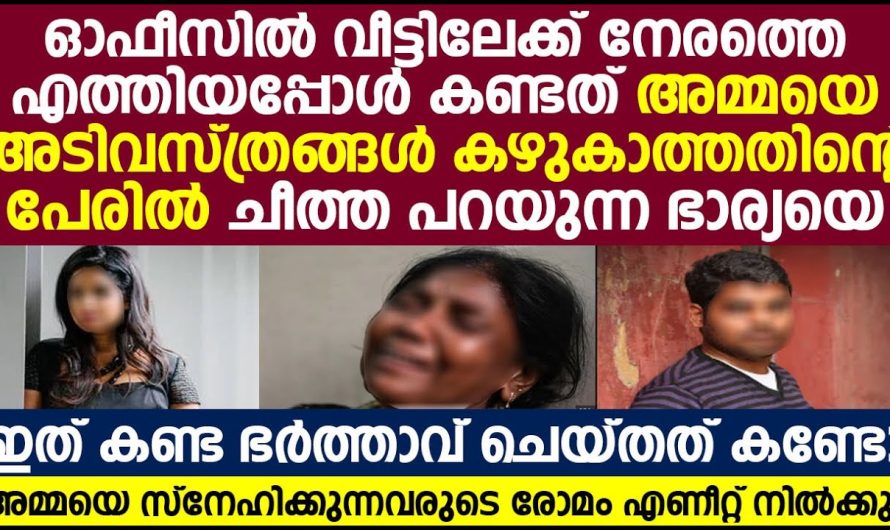 അമ്മയെ അടിവസ്ത്രം കഴുകാത്തതിന്റെ പേരിൽ ചീത്ത പറഞ്ഞ പുതു പെണ്ണിനെ വരൻ ചെയ്തത് കണ്ടോ