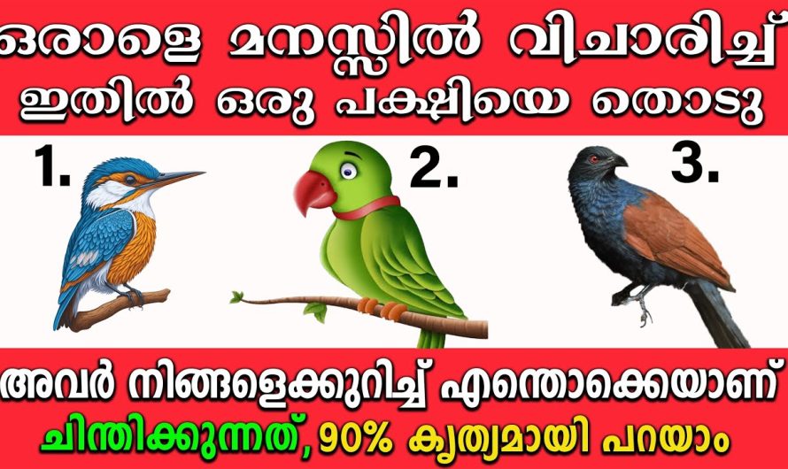 മറ്റൊരാൾ നിങ്ങളെ കുറിച്ച് എന്താണ് ചിന്തിക്കുന്നത്, എന്ന് അറിയണോ? ഇതിൽ ഒന്ന് തോട് നോക്കൂ