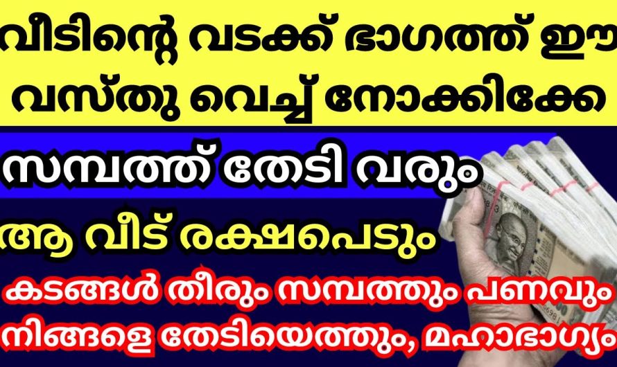 പണം വീട് തേടി വരുന്നത് കാണണോ, ഇത് ഒന്ന് ചെയ്തു നോക്കൂ