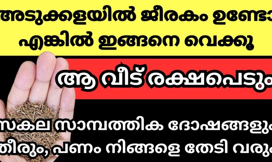 വീട്ടമ്മമാർ ജീരകം കൊണ്ട് ചെയ്യുന്ന അത്ഭുത ധനവശ്യ കർമ്മം ഇത് – ചെയ്താൽ മതി