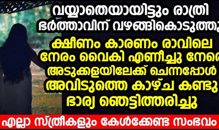 ഭർത്താവിന്റെ നിർബന്ധം കാരണം വഴങ്ങി കൊടുത്തു, എന്നിട്ട് രാവിലെ ഭർത്താവിനോട് പറഞ്ഞത് കേട്ടോ