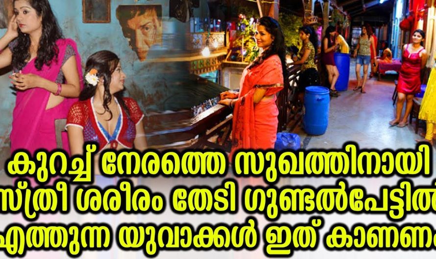 ഗുണ്ടൽപേട്ടിൽ സ്ത്രീ ശരീരം തേടി എത്തുന്ന യുവാക്കൾ ഇതൊന്ന് കാണണം