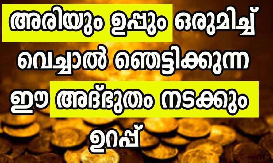 ഞെട്ടിക്കുന്ന ഈ അദ്‌ഭുതം നടക്കും ഉറപ്പ്, അരിയും ഉപ്പും ഒരുമിച്ച് വെച്ചാൽ മാത്രം മതി