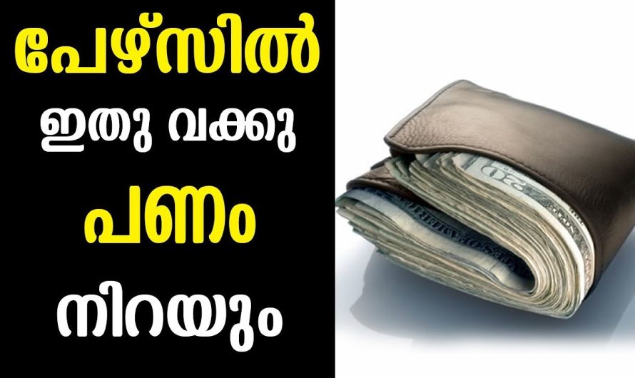 ഇതു മാത്രം ചെയ്താൽ മതി, പേഴ്സിൽ പണം നിറയാൻ, ഒരുപാടു ആളുകൾക്ക്‌ ഉപകാരം ഉള്ള വിദ്യ