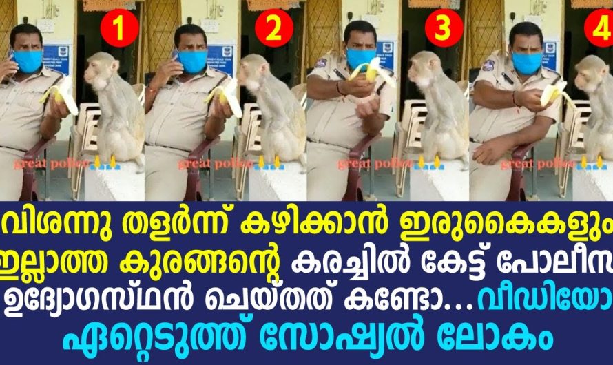 വീഡിയോ ഏറ്റെടുത്ത് സോഷ്യൽ ലോകം, 24 മണിക്കൂർ കൊണ്ട് 10 ലക്ഷം ആളുകൾ കണ്ട വീഡിയോ ഇതാണ്!!