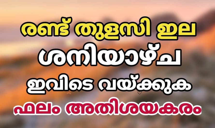 ഇവിടെ വയ്ക്കണം, 2 തുളസി ഇല ശനി ആഴ്ച അത്ഭുതം നടക്കും തീർച്ച