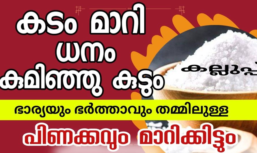 ജീവിതത്തിൽ അത്ഭുതം സംഭവിക്കും, ഒരു പിടി കല്ലുപ്പ് മാത്രം മതി, നിങ്ങളുടെ സകലകടവും മാറി ധനം വന്നുചേരാൻ ഈ കല്ല് ഉപ്പ് മാത്രം മതി