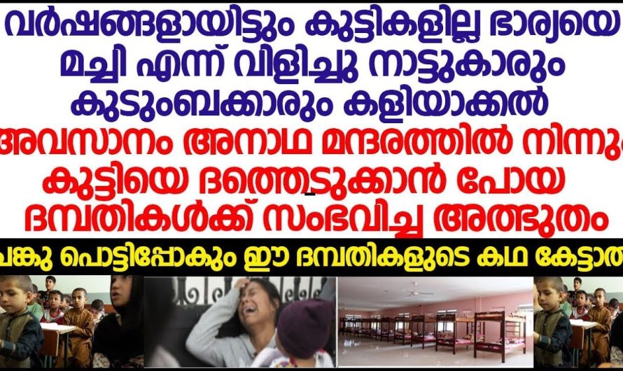 നാട്ടുകാരും വീട്ടുകാരും കുട്ടികൾ ഇല്ലാത്തതുകൊണ്ട് കളിയാക്കി, ഇവൾ ചെയ്ത പ്രതികാരം കണ്ടോ ഞെട്ടിപ്പോകും എന്ന് കേട്ടാൽ