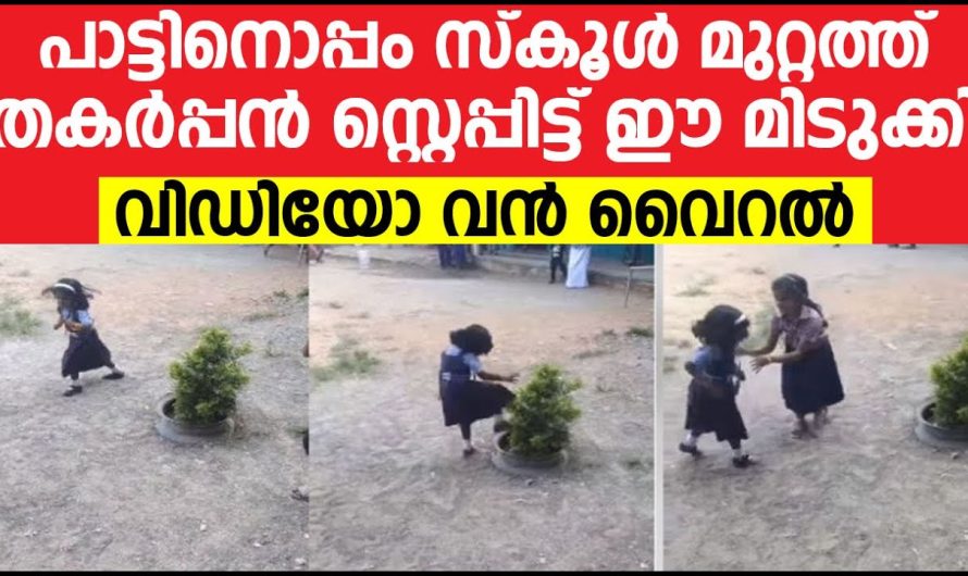 ഈ മിടുക്കി പാട്ടിനൊപ്പം സ്കൂൾ മുറ്റത്ത് തകർപ്പൻ ഡാൻസ്,