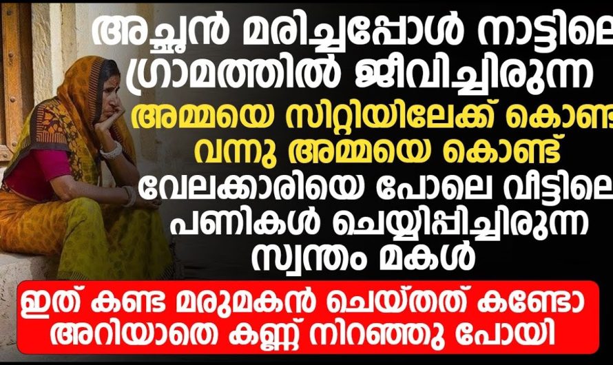 വേലക്കാരിയെ പോലെ അമ്മയെ വീട്ടിൽ നിർത്തിയ മകൾ ഇത് കണ്ട് മരുമകൻ ചെയ്തത് കണ്ടോ?