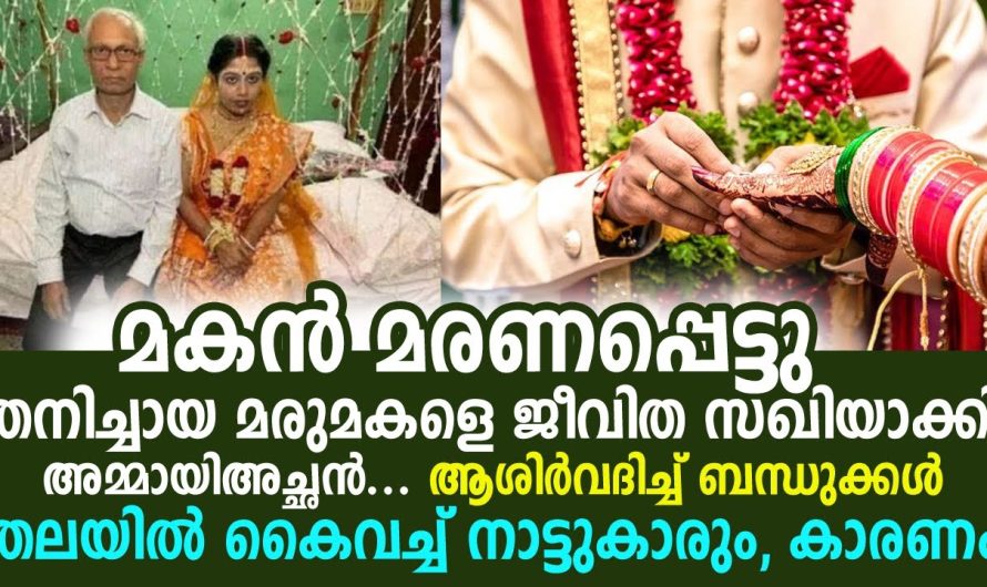 മകൻ മരണപ്പെട്ടു തുടർന്ന് തനിച്ചായ മരുമകളെ അമ്മായിഅച്ഛൻ ജീവിത സഖിയാക്കി, ആശിർവദിച്ച് ബന്ധുക്കൾ