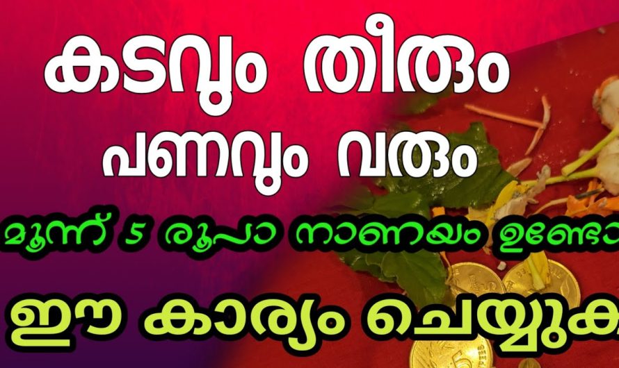 ഇവിടെ വെച്ച് നോക്കൂ, മൂന്ന് 5 രൂപാ നാണയം ലക്ഷങ്ങളുടെ കടം തീരും ഈ കാര്യം ചെയ്താൽ മതി