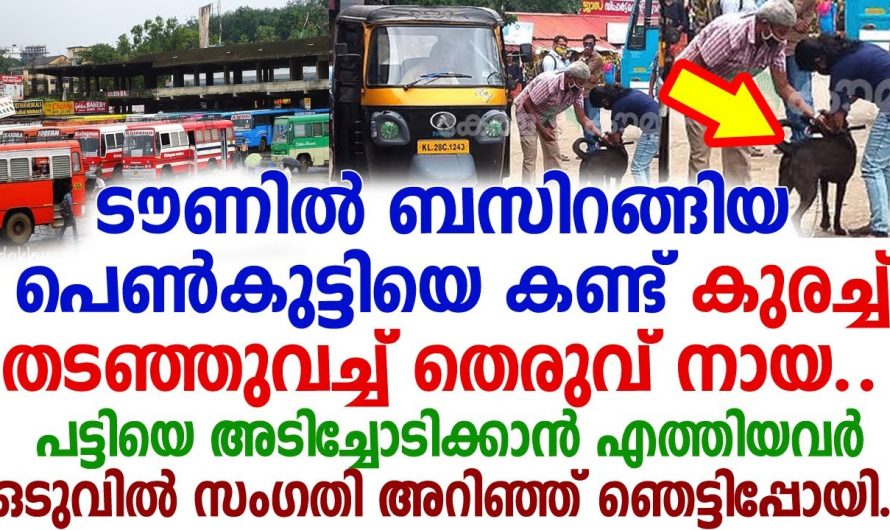 ബസ് ഇറങ്ങിയ പെൺകുട്ടിയുടെ നായ ചെയ്തത് കണ്ടോ… അവസാനം ഉണ്ടായത് അറിഞ്ഞു കരഞ്ഞു നാട്ടുകാർ