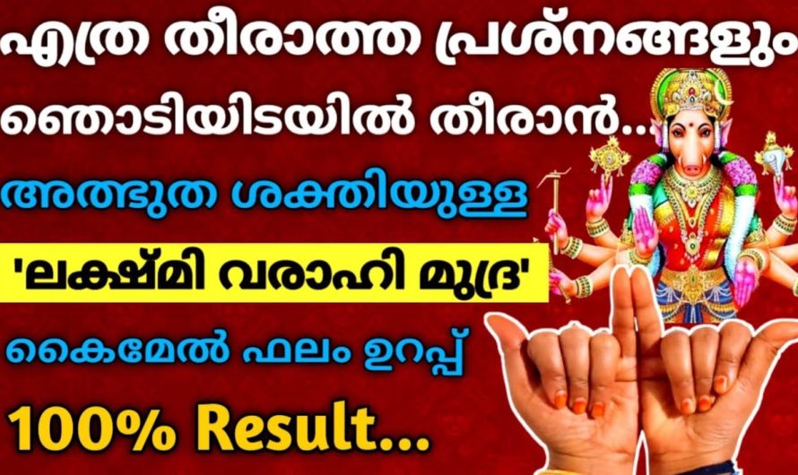 ആഗ്രഹിച്ചത് അതുപോലെ തന്നെ നടക്കും!! ജീവിതത്തിൽ പ്രശ്നങ്ങൾ വരുമ്പോൾ ‘ലക്ഷ്മി വരാഹി മുദ്ര’ ചെയ്‌താൽ…