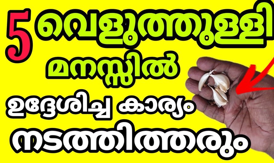 ആഗ്രഹിക്കാതെ പൊയ ഏത് ആഗ്രഹവും സാധിക്കും, ഈ 5 വെളുത്തുള്ളി കരുതിയാൽ