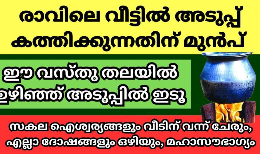 സകല ഐശ്വര്യവും വീട്ടിന് വന്നുചേരും, മഹാഭാഗ്യം വന്നു ചേരും ഈ ഒരു കാര്യം ചെയ്താൽ മതി