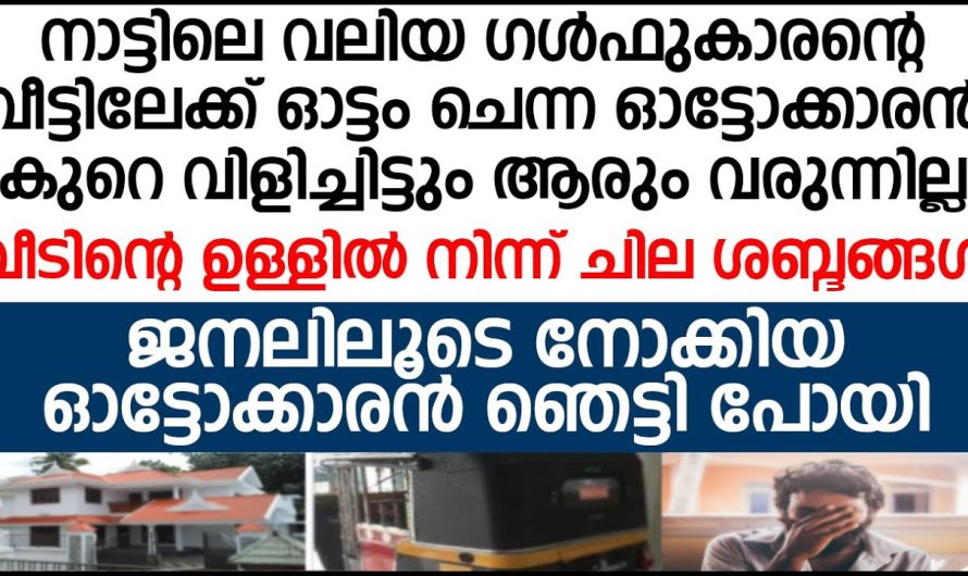 ഓട്ടം വിളിച്ചാ ഓട്ടോക്കാരൻ വീട്ടിൽ ചില ശബ്ദങ്ങൾ വന്നതുകൊണ്ട് എത്തിനോക്കിയപ്പോൾ അവിടെ കണ്ട കാഴ്ച്ച